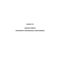 crescimento, diferenciação e morfogênese - Fisiologia Vegetal