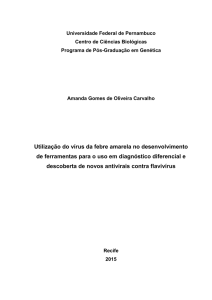 Utilização do vírus da febre amarela no desenvolvimento de