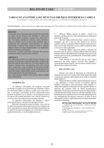 Revista Completa V.16 N.2.cdr