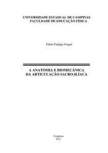 Fregni, Fábio Fidalgo _TCC - Biblioteca Digital da Unicamp
