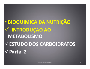 metabolismo