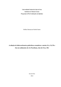 Avaliação de hidrocarbonetos policíclicos aromáticos e metais (Cu