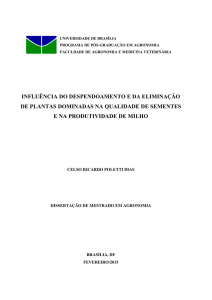 influência do despendoamento e da eliminação de plantas