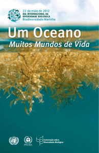 Um Oceano - Projeto Aves Marinhas