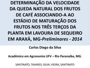 determinação da velocidade da queda natural dos frutos de café