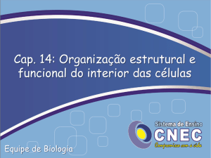 Cap. 14: Organização estrutural e funcional do interior das células