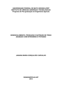 Desenvolvimento, produção e nutrição de trigo adubado