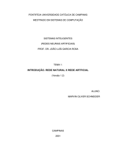 introdu&ccedil;o. rede natural x rede artficial