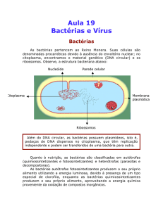 Aula 19 Bactérias e Vírus
