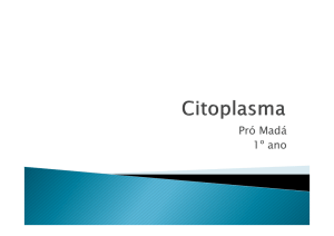 citoplasma e organelas - 1º ano