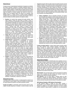 Sistema Nervoso O sistema nervoso &eacute; respons&aacute;vel pelo