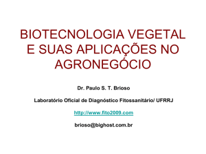 biotecnologia vegetal e suas aplicações no agronegócio