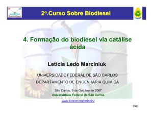 Formação do biodiesel via catálise ácida