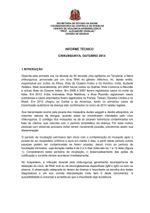 informe técnico chikungunya, outubro 2014