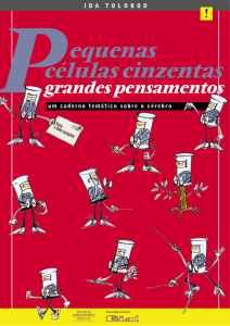 Pequenas c&eacute;lulas cinzentas