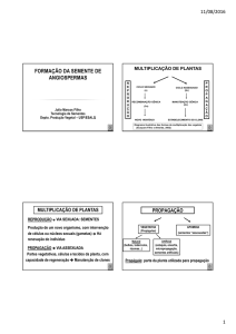 FORMAÇÃO DA SEMENTE DE ANGIOSPERMAS - Esalq