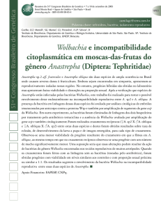 Wolbachia e incompatibilidade citoplasmática em moscas