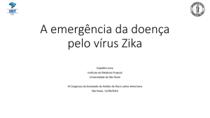 A emergência da doença pelo vírus Zika