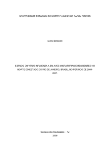 Estudo do vírus Influenza A em aves migratórias e