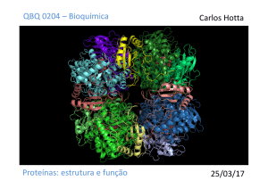 Proteínas: estrutura e função QBQ 0204 – Bioquímica Carlos Hotta