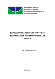 expressão transiente de proteínas recombinantes utilizando sistema