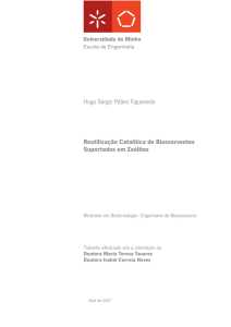 Hugo Figueiredo_Tese Completa