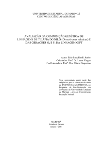 AVALIAÇÃO DA COMPOSIÇÃO GENÉTICA DE LINHAGENS DE