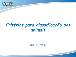 Critérios para classificação dos animais