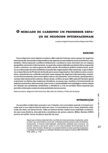 o mercado de carbono : um promissor espa ço de negìcios