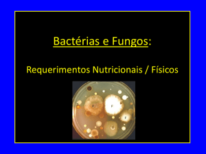 Bactérias e Fungos: Requerimentos Nutricionais