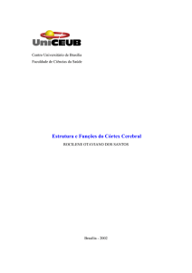 Estrutura e Fun&ccedil;&otilde;es do C&oacute;rtex Cerebral