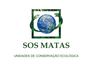 SOS Matas trabalhando para salvar florestas.