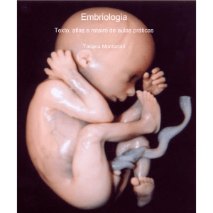 Embriologia - Professor