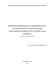 Dissertação em PDF