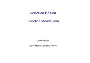 Genética Básica Genética Mendeliana