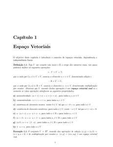 Capítulo 1 Espaço Vetoriais