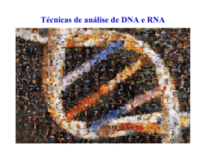 Técnicas de análise de DNA e RNA