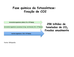 Fase quimica da fotossíntese: fixação de CO2