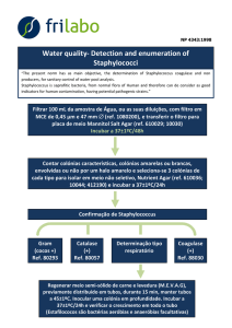 Water quality- Detection and enumeration of Staphylococci