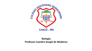 Professor Leandro