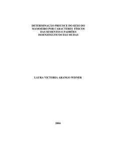 determinação precoce do sexo do mamoeiro por caracteres