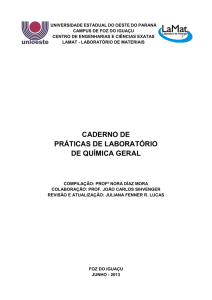 caderno de práticas de laboratório de química geral - Unioeste