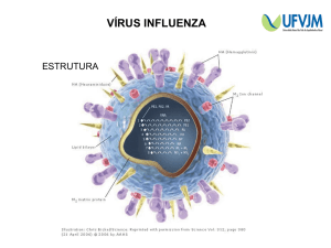 vírus influenza