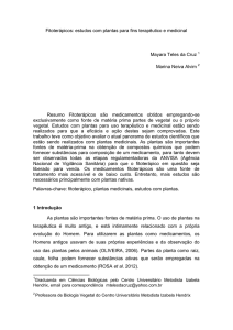 Fitoterápicos: estudos com plantas para fins