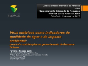 Vírus entéricos como indicadores de qualidade da água e de