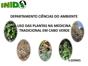 plantas medicinais