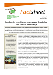 Funções dos ecossistemas e serviços da Amazônia