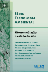 Série Tecnologia Ambiental - Centro de Tecnologia Mineral