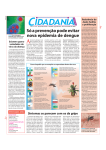 Só a prevenção pode evitar nova epidemia de dengue