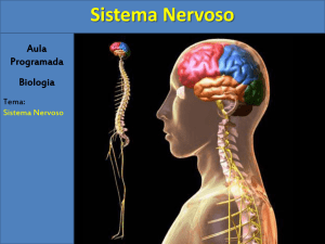 Sistema Nervoso